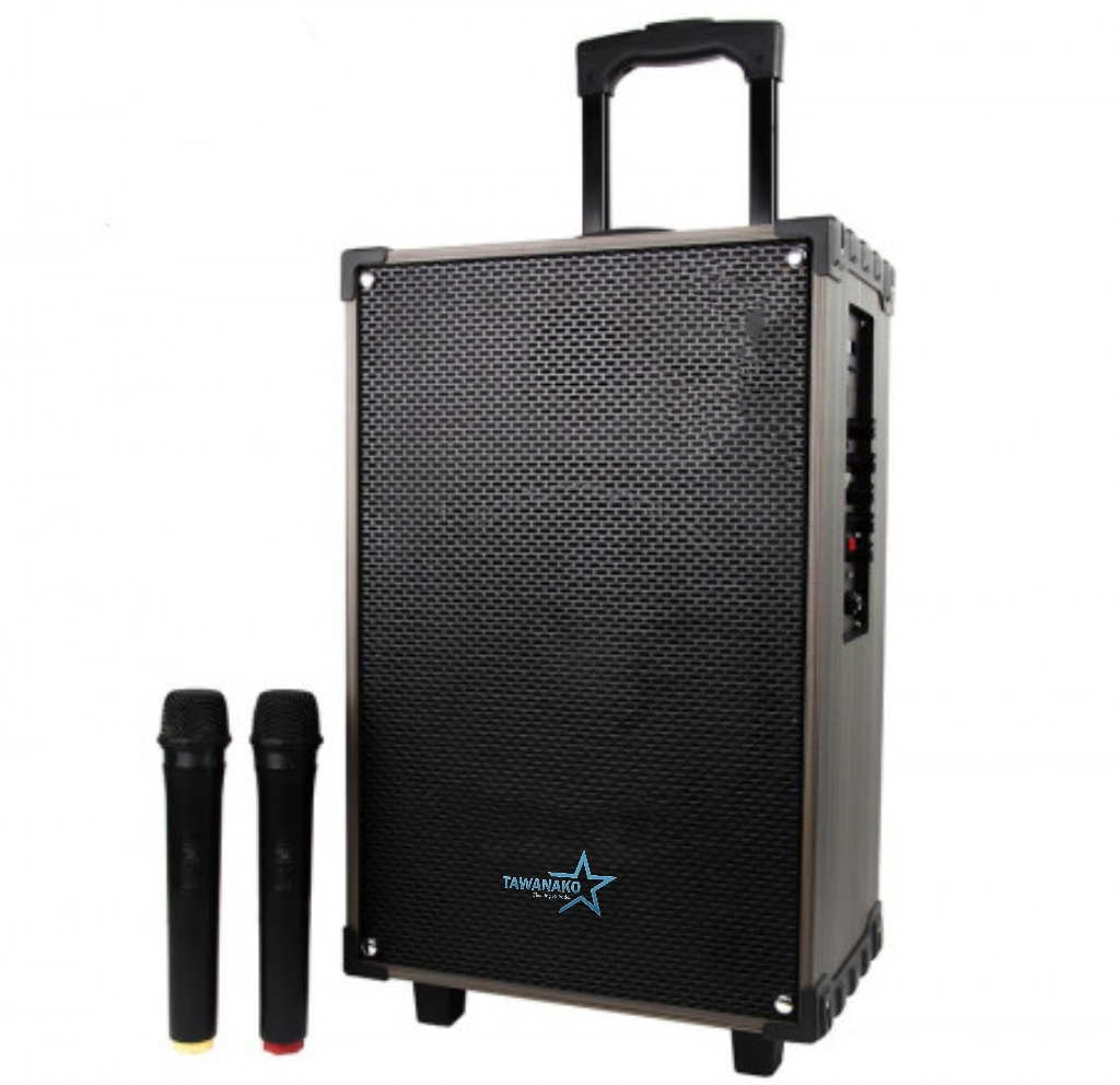 LOA KÉO TAWANAKO NM-803 ( KÈM 2 MIC KHÔNG DÂY )